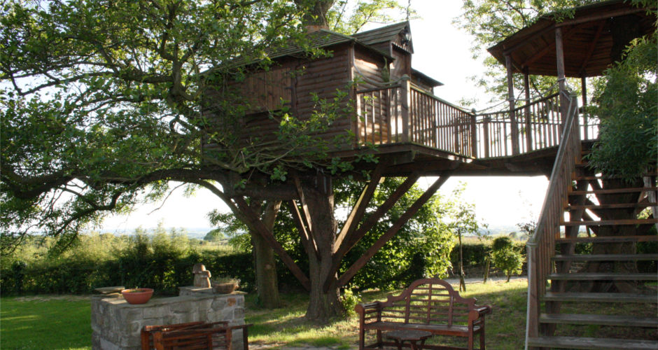 Outdoor eating area with enclosed tree house